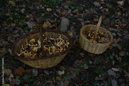 Cestas con setas