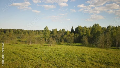 beautiful nature at the beginning of summer at the moment of evening sunset. 4k video of excellent quality, unique material for design and creation of works