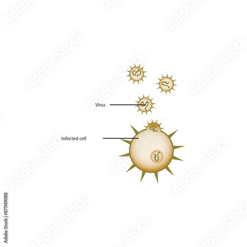 Diagram of virus and virus infected cell - schematic simple illustration. skeletal structure diagram. compound molecule scientific illustration.