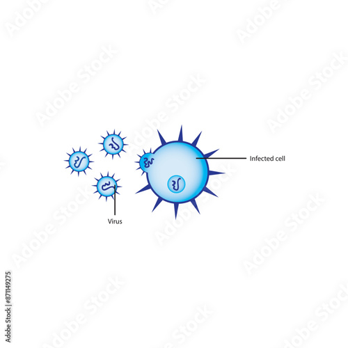 Diagram of virus and virus infected cell - schematic simple illustration. skeletal structure diagram. compound molecule scientific illustration.