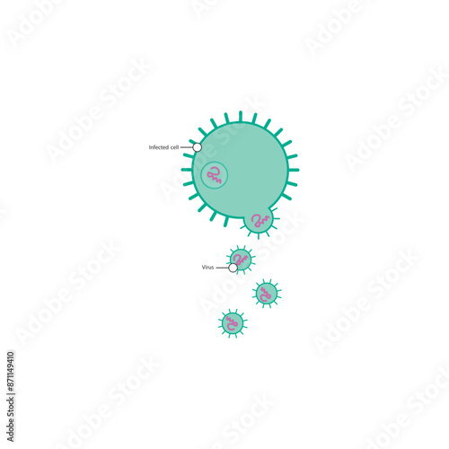 Diagram of virus and virus infected cell - schematic simple illustration. skeletal structure diagram. compound molecule scientific illustration.