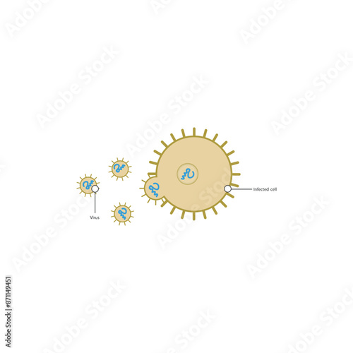 Diagram of virus and virus infected cell - schematic simple illustration. skeletal structure diagram. compound molecule scientific illustration.
