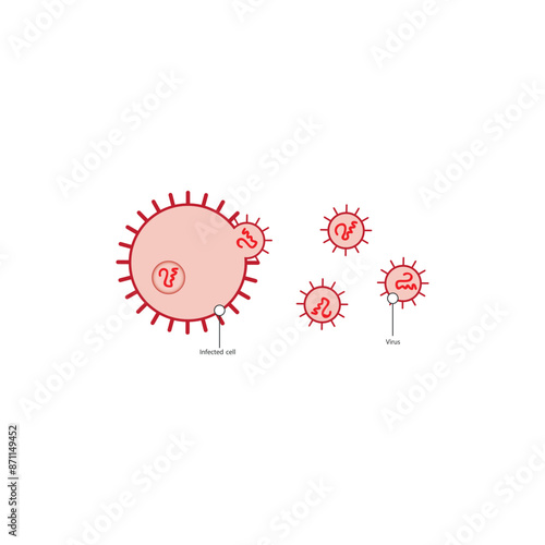 Diagram of virus and virus infected cell - schematic simple illustration. skeletal structure diagram. compound molecule scientific illustration.