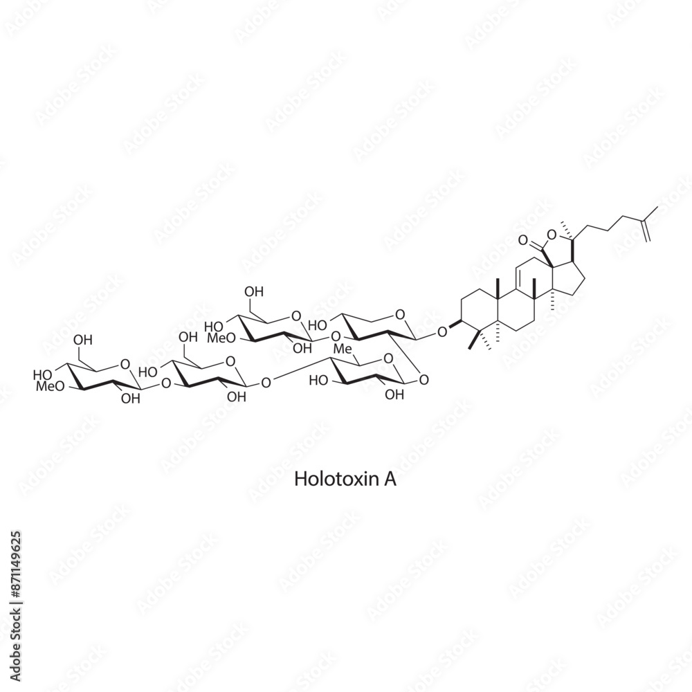 Fototapeta premium Holotoxin A skeletal structure diagram.marine toxin compound molecule scientific illustration.