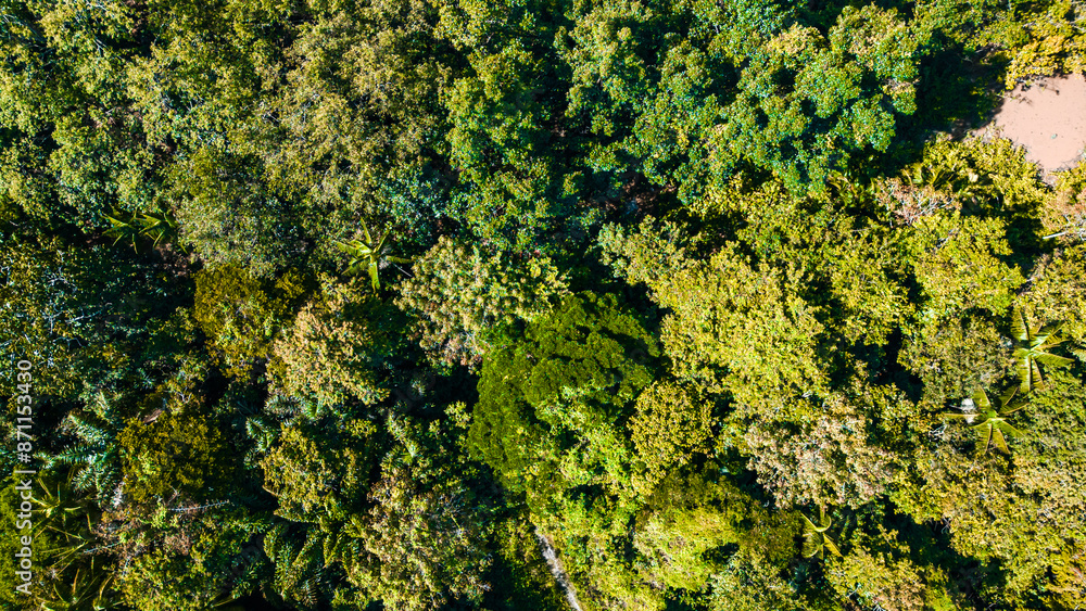 Rio Amazônia Mangue Ilha Marajó Salvaterra Açaí Floresta Biodiversidade Fauna Flora Natureza Ecoturismo Paisagem Rural Comunidade Indígena Vegetação Costeira Navegação Barcos Balsa Rio Amazônia Mangue Ilha Marajó Salvaterra Açaí Floresta Biodiversidade Fauna Flora Natureza Ecoturismo Paisagem Rural Comunidade Indígena Vegetação Costeira Navegação Barcos Balsa