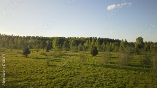 beautiful nature at the beginning of summer at the moment of evening sunset. 4k video of excellent quality, unique material for design and creation of works