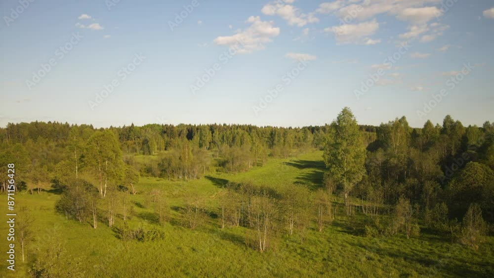 beautiful nature at the beginning of summer at the moment of evening sunset. 4k video of excellent quality, unique material for design and creation of works beautiful nature at the beginning of summer at the moment of evening sunset. 4k video of excellent quality, unique material for design and creation of works