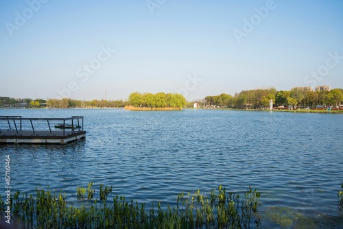 Waterweed floating on the sparkling lake photo