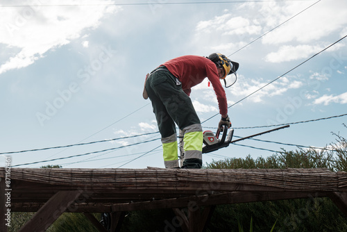 Wallpaper Mural gardener pruning hedges Torontodigital.ca