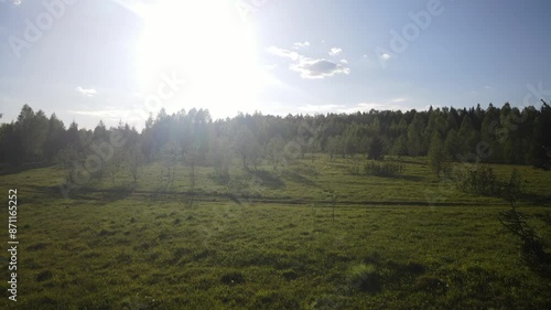 beautiful nature at the beginning of summer at the moment of evening sunset. 4k video of excellent quality, unique material for design and creation of works