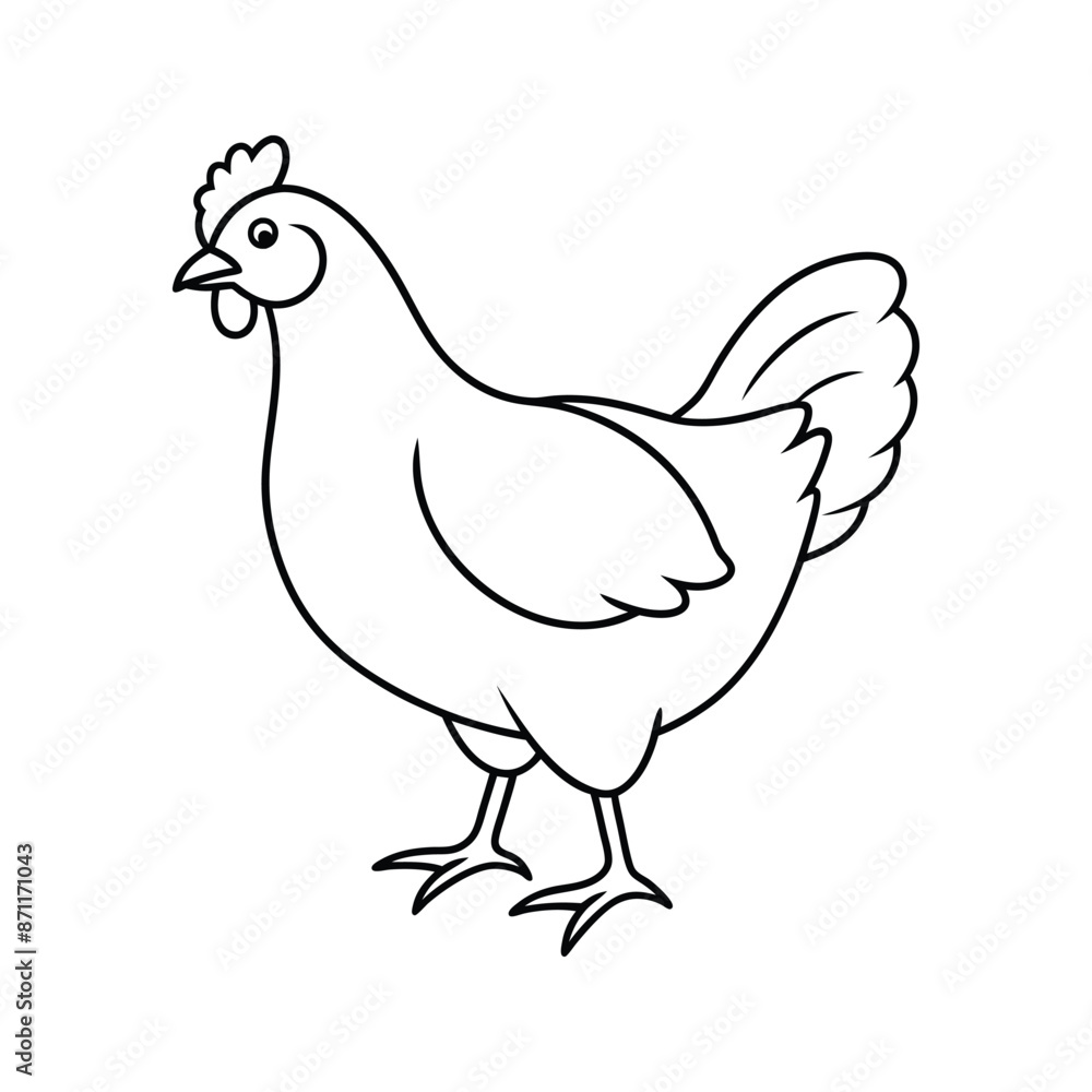 illustration of a chicken illustration of a chicken