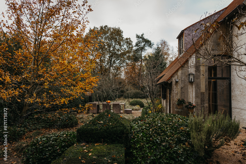 Tranquil European yard with autumnal trees Tranquil European yard with autumnal trees