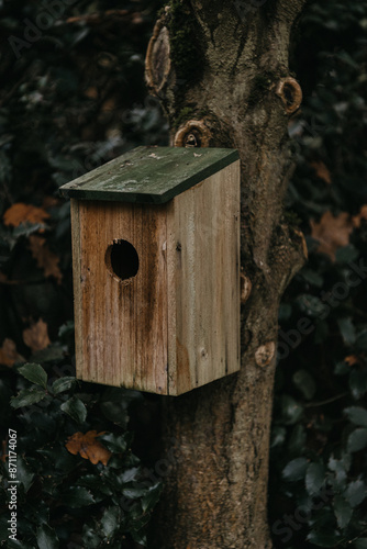 Wooden birdhouse on a leafy tree photo