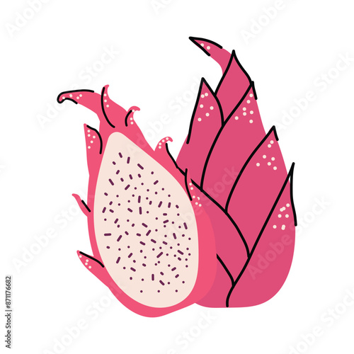 Pitaya, pitahaya. Vector illustration. Dragon fruit in section. Tropical fruit. White isolated background.
