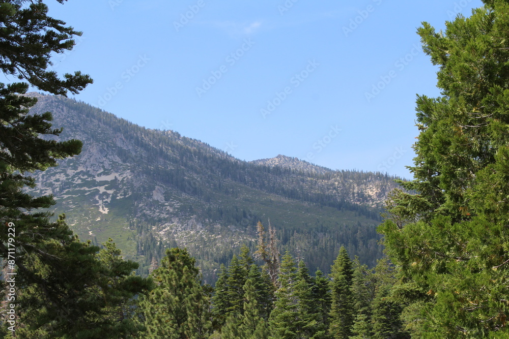 Fototapeta premium Mountains and trees.