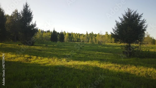 beautiful nature at the beginning of summer at the moment of evening sunset. 4k video of excellent quality, unique material for design and creation of works