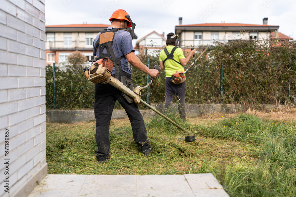 Gardeners working in a backyard. Gardeners working in a backyard.