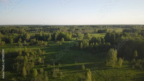 beautiful nature at the beginning of summer at the moment of evening sunset. 4k video of excellent quality, unique material for design and creation of works