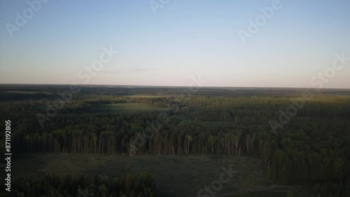 beautiful nature at the beginning of summer at the moment of evening sunset. 4k video of excellent quality, unique material for design and creation of works