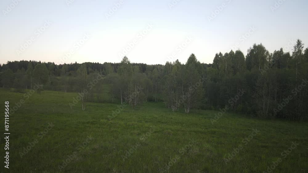 beautiful nature at the beginning of summer at the moment of evening sunset. 4k video of excellent quality, unique material for design and creation of works beautiful nature at the beginning of summer at the moment of evening sunset. 4k video of excellent quality, unique material for design and creation of works