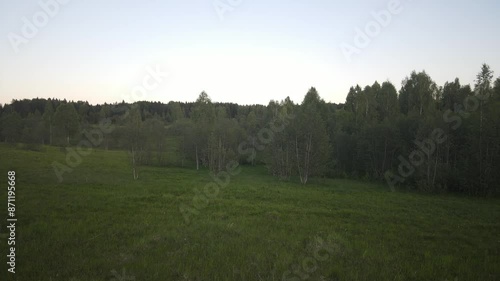 beautiful nature at the beginning of summer at the moment of evening sunset. 4k video of excellent quality, unique material for design and creation of works