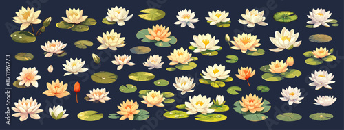 Cartoon water lilies set. Decorative pond lotus flowers and leaves, floral design elements vector illustration