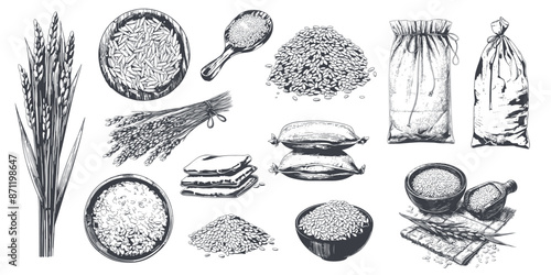 Hand drawn rice set. Engraving asian food grains in pile sack bag bowl, jasmine rice ears vector illustration