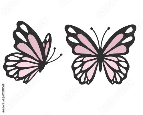 Butterfly Morpho Didius. Morpha Isolate