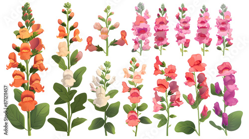 Set of snapdragon elements including snapdragon flowers, buds, petals, and leaves