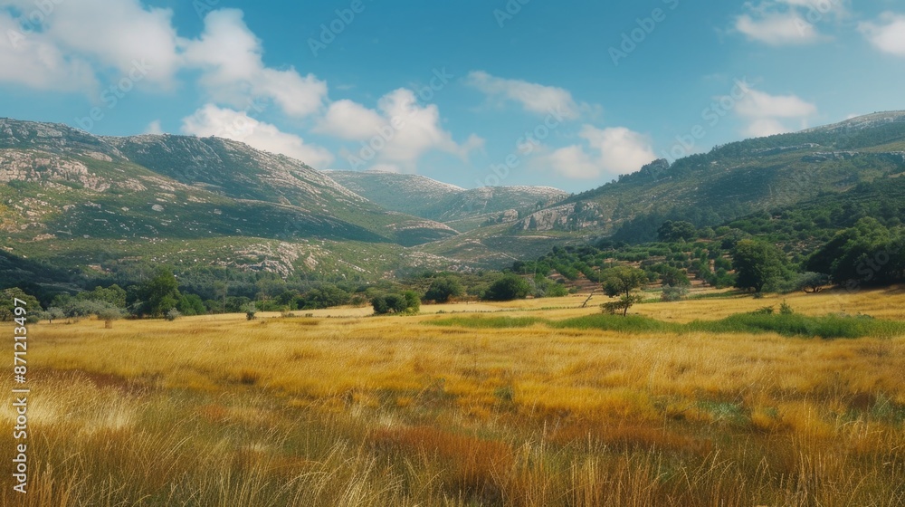 A serene landscape image featuring a lush green meadow with mountains visible in the distance A serene landscape image featuring a lush green meadow with mountains visible in the distance