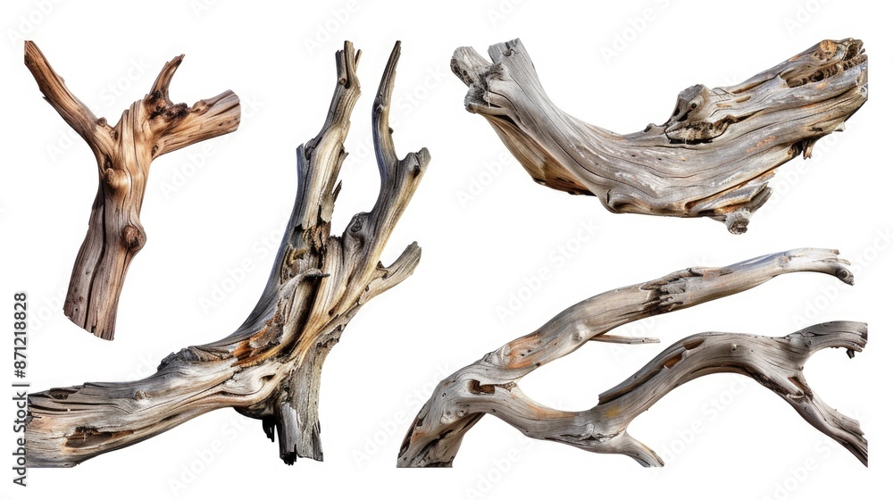 Fototapeta premium A collection of driftwood pieces arranged on a clean white surface, perfect for use in design projects or as a decorative element