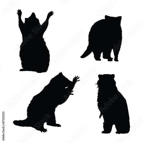 Set of Raccoon Silhouette Vector Illustration