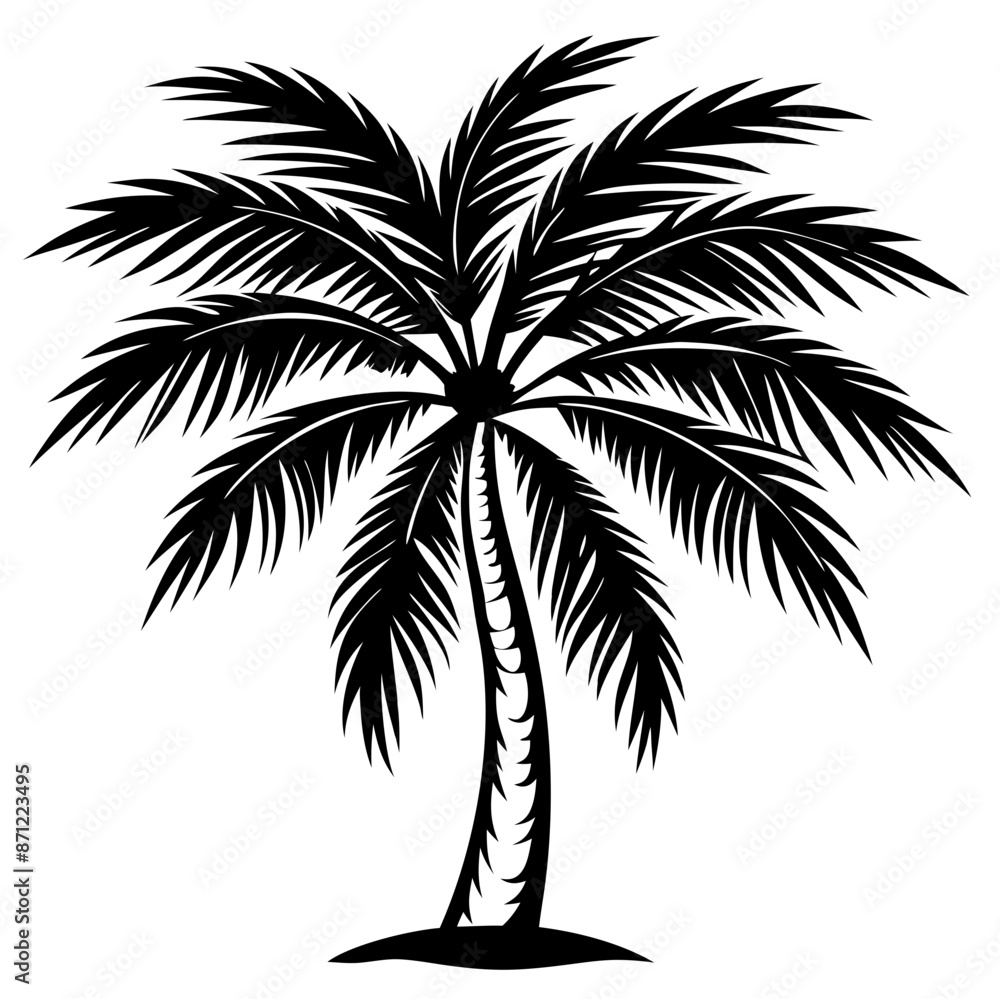 Coconut tree Coconut tree