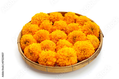 Beautiful golden yellow marigold flowers