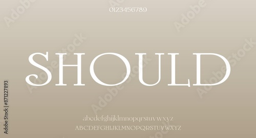 Vector elegant wedding alphabet letter font typography luxury classic serif fonts decorative vintag