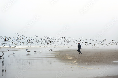 Businessman chasing birds photo