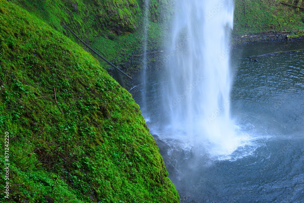 Obraz premium White water in waterfall crashing behind lush green surround into pool