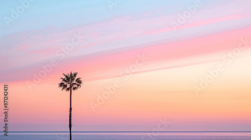 a minimalist photo of the silouette of a single palm tree against an etherial dawn horizon, soft pastel colors