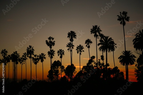 Sunset at Elysian Park