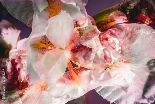 Flowers and pomegranate photo