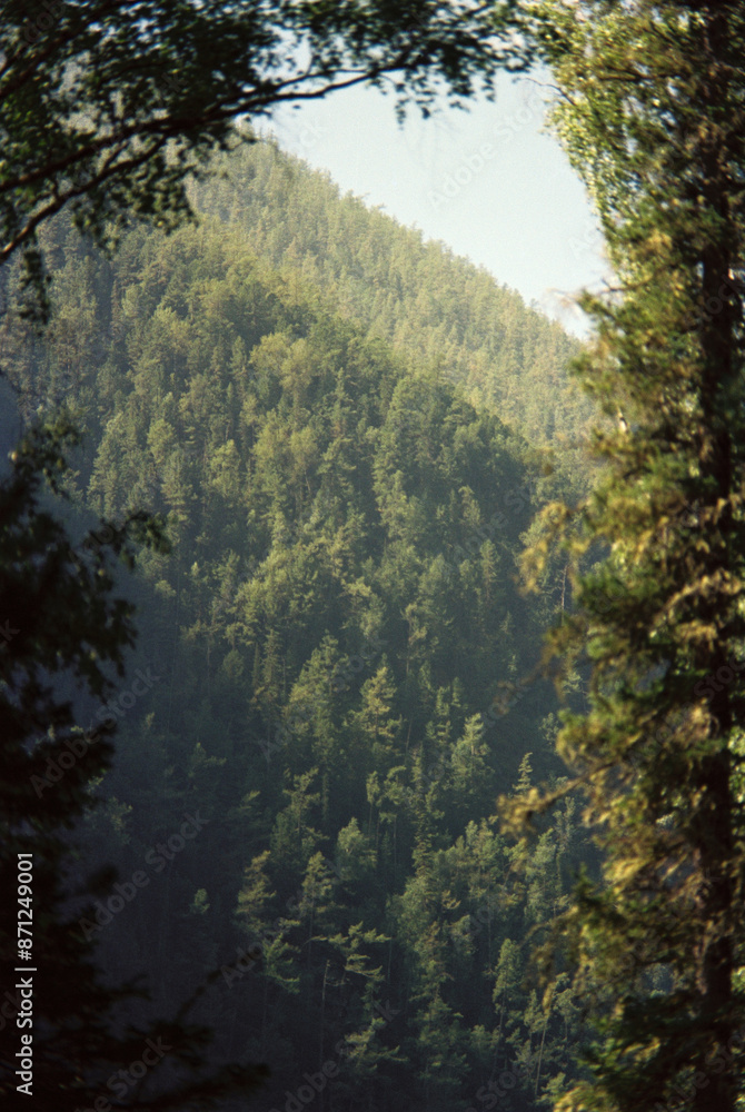view of lush green forested hills through the trees view of lush green forested hills through the trees