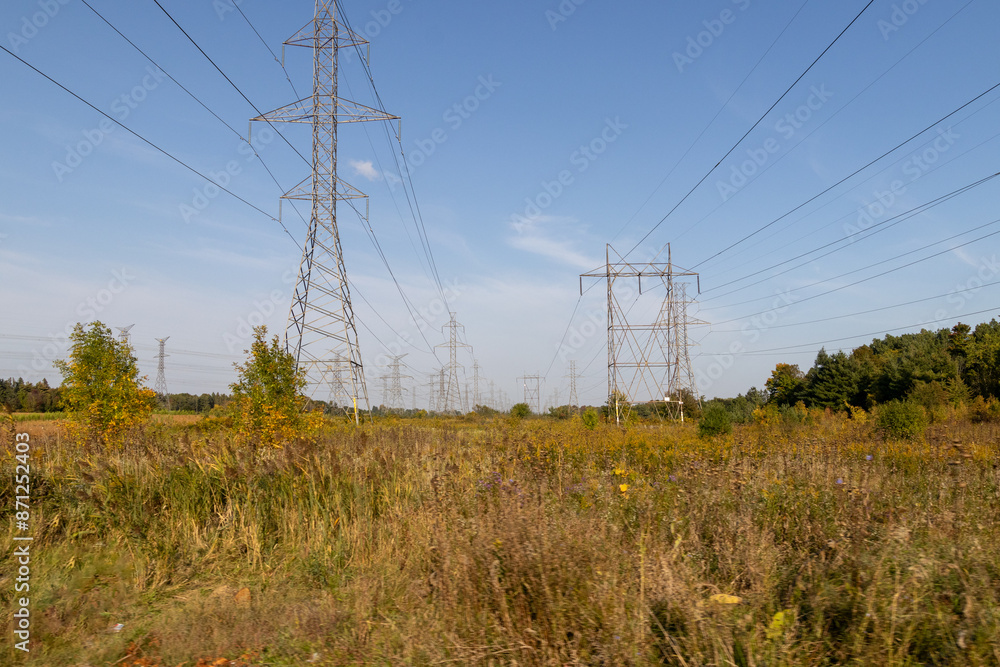 Field of wildflowers and forest - power lines across field - sky overhead. Taken in Toronto, Canada. Field of wildflowers and forest - power lines across field - sky overhead. Taken in Toronto, Canada.