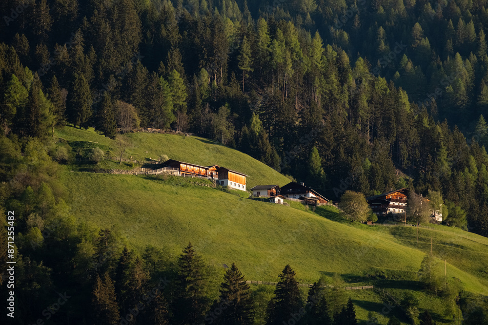 Austrian village with green forest. Austrian village with green forest.