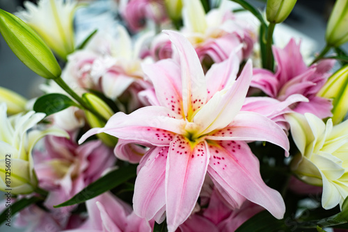 Wallpaper Mural 美しい八重百合 Torontodigital.ca