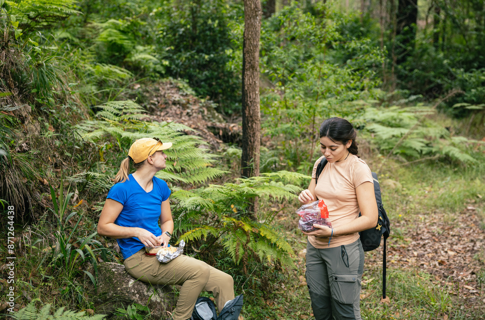 Women hiking in tropical forest in Australia Women hiking in tropical forest in Australia