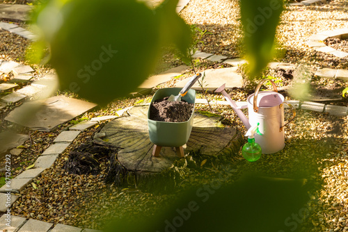 Gardening tools and watering can on tree stump in backyard garden, copy space