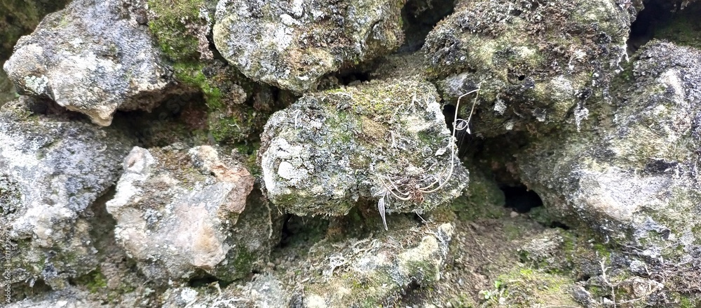 Rugged Old Rocks Form Sturdy Retaining Wall Rugged Old Rocks Form Sturdy Retaining Wall