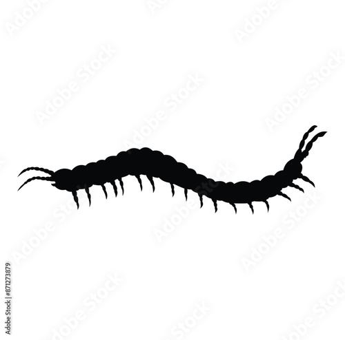 centipede silhouette vector design. black and white.