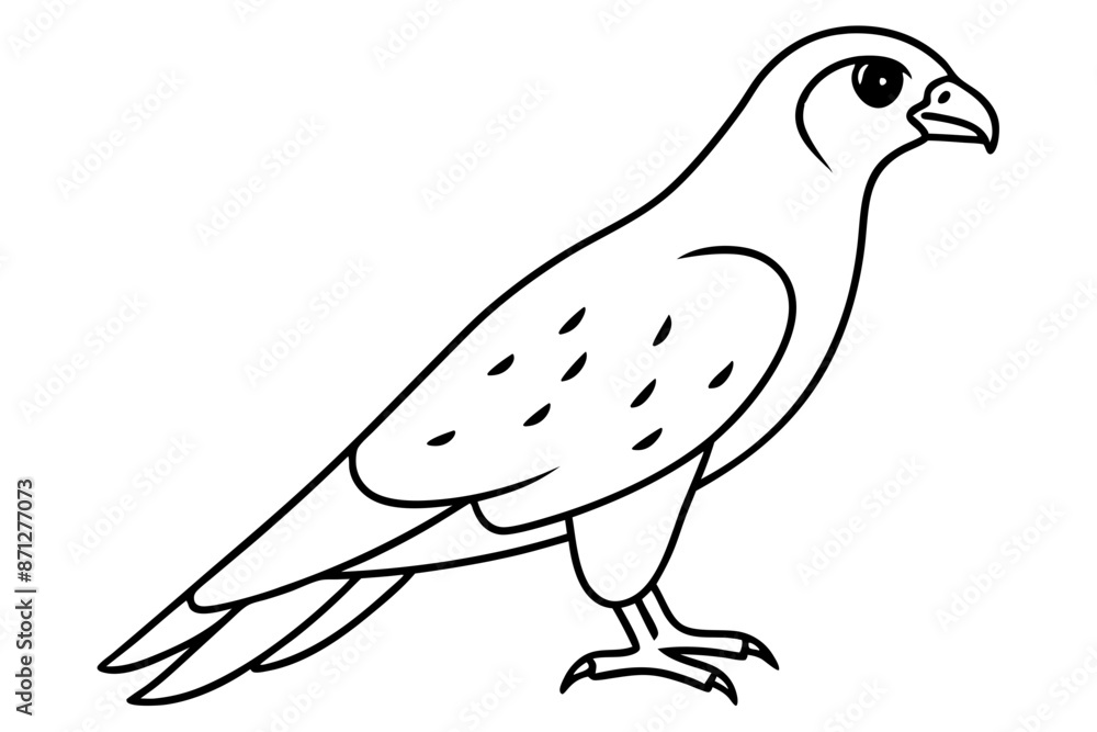 Fototapeta premium falcon bird line art silhouette vector illustration