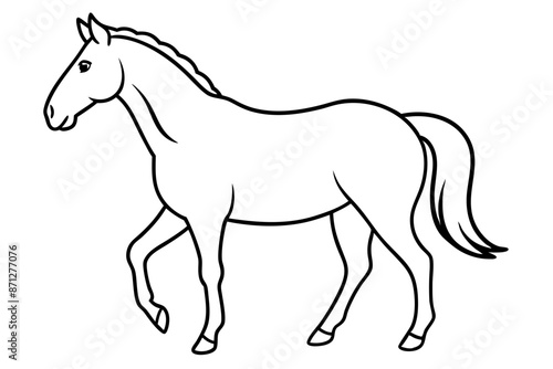 Horse line art silhouette vector illustration